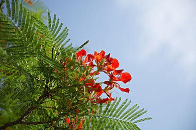 网易为《魔兽世界》开放临时充值通道 有条件限制